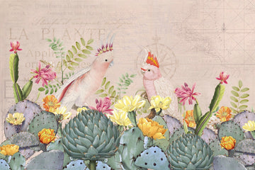 Cockatoos and Cactuses