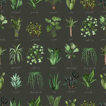 Dark Plants Collection