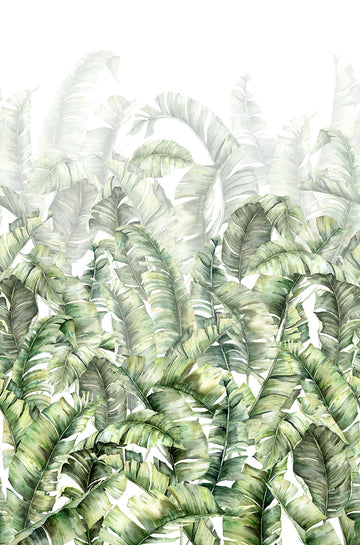 Palm Leaves Row