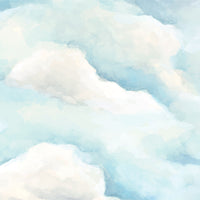 Clouds Field